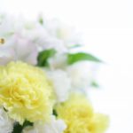 お供えのお花として胡蝶蘭を贈る際のマナーと選び方のポイント
